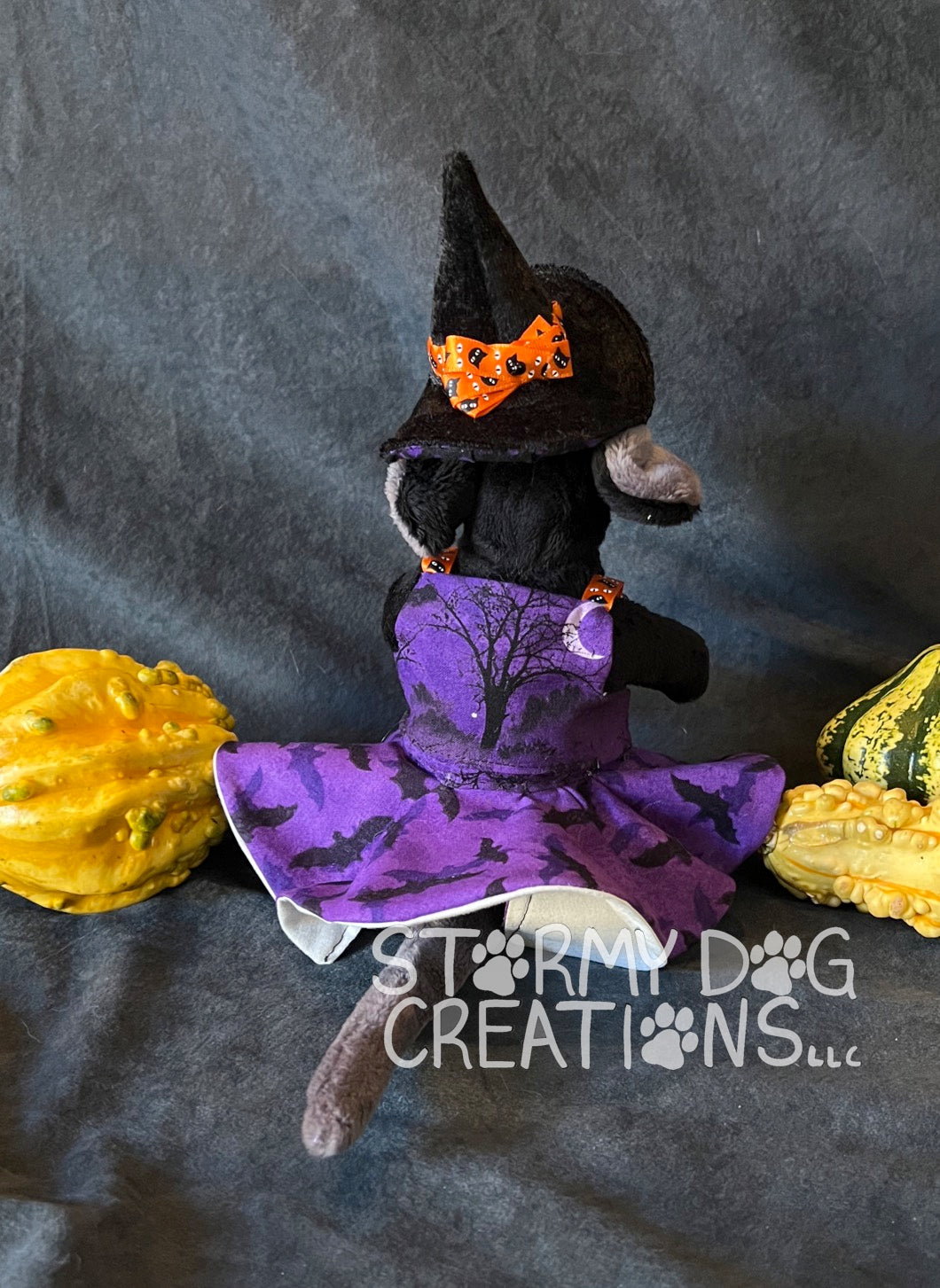 Black Mouse Witch