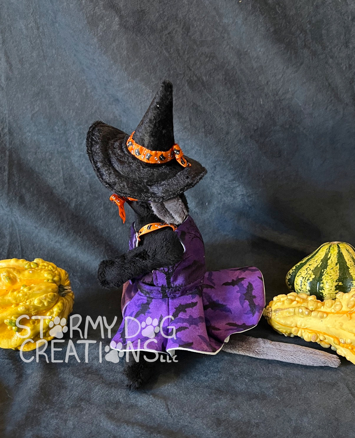 Black Mouse Witch