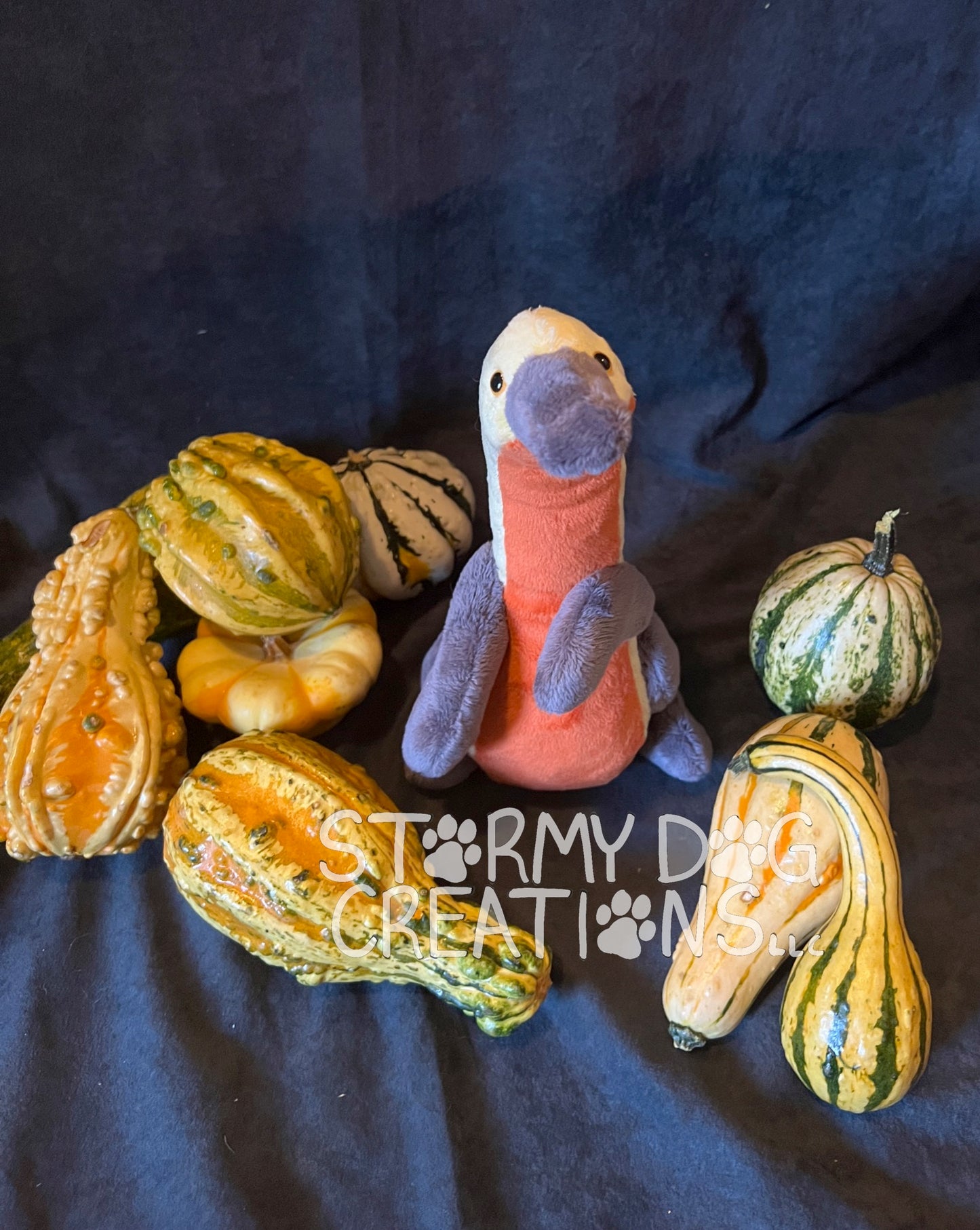 Medium Gourd Monster 5