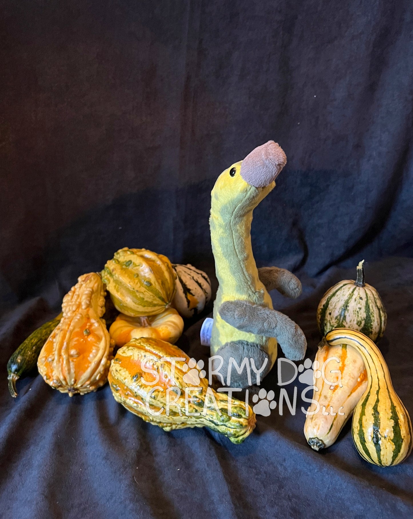 Tall Gourd Monster 7