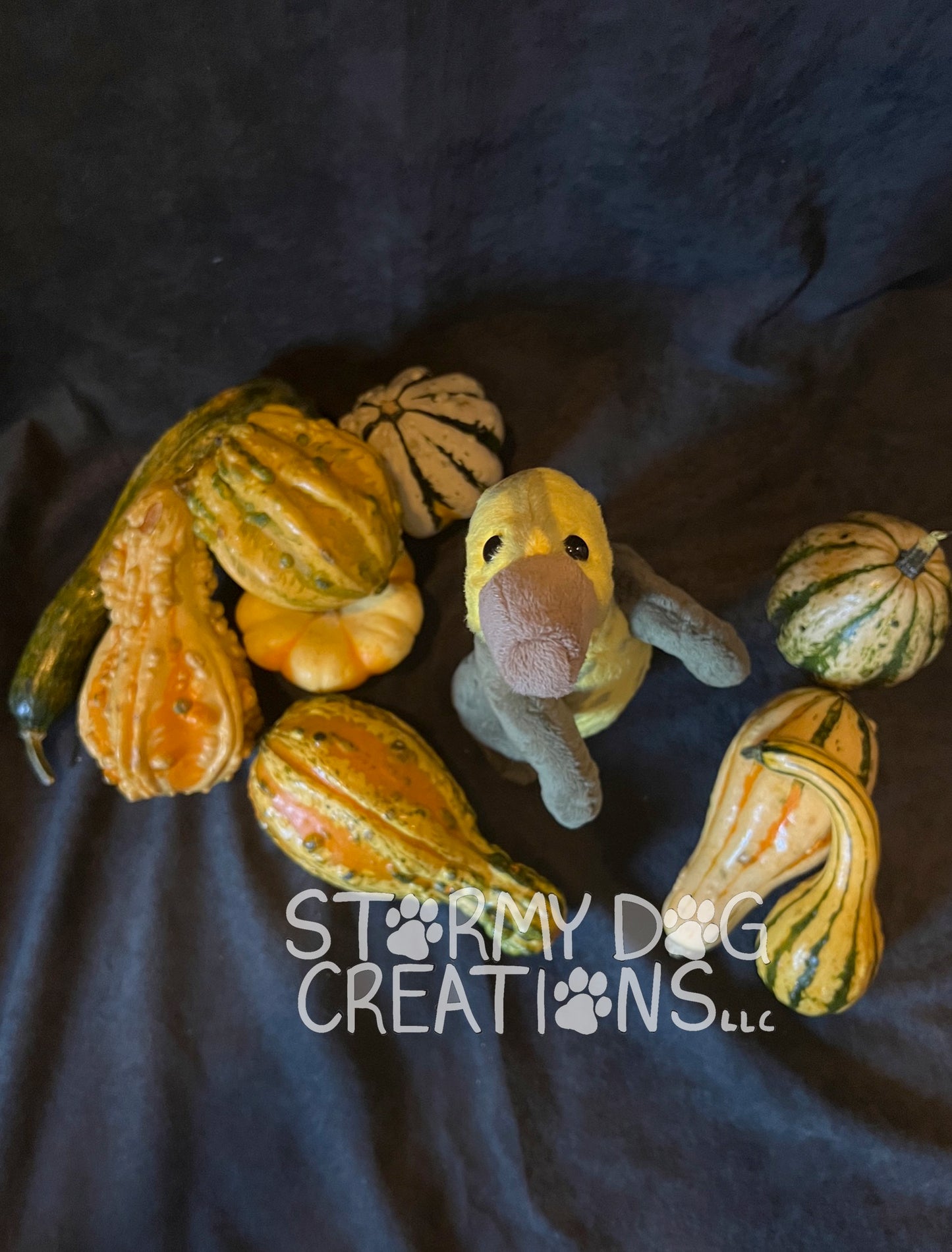 Tall Gourd Monster 7