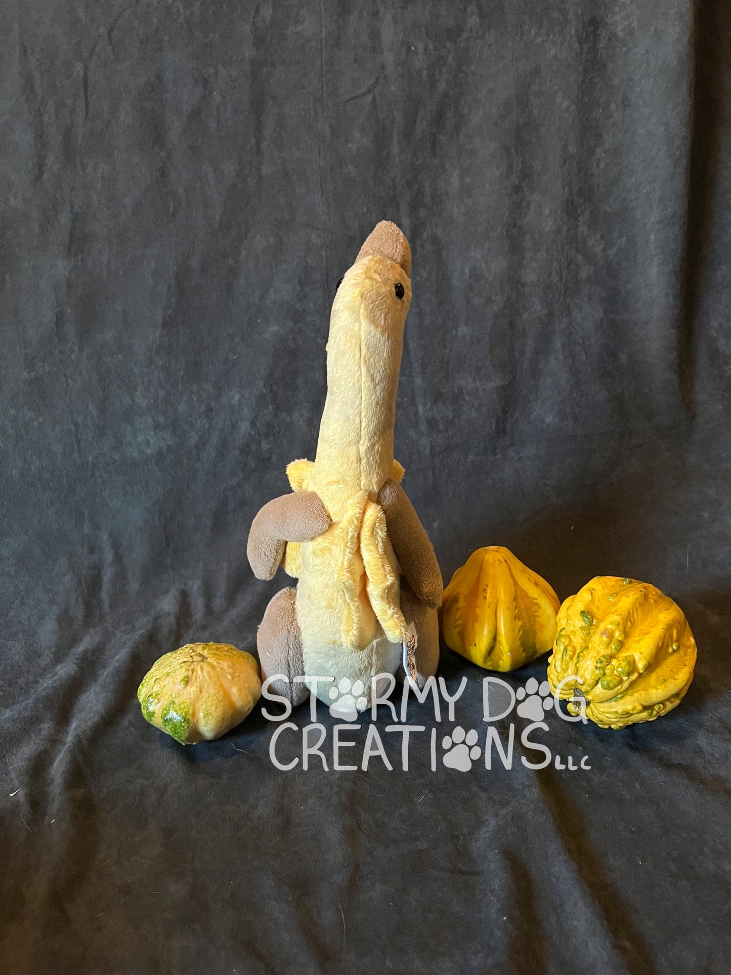 Tall Gourd Monster 13