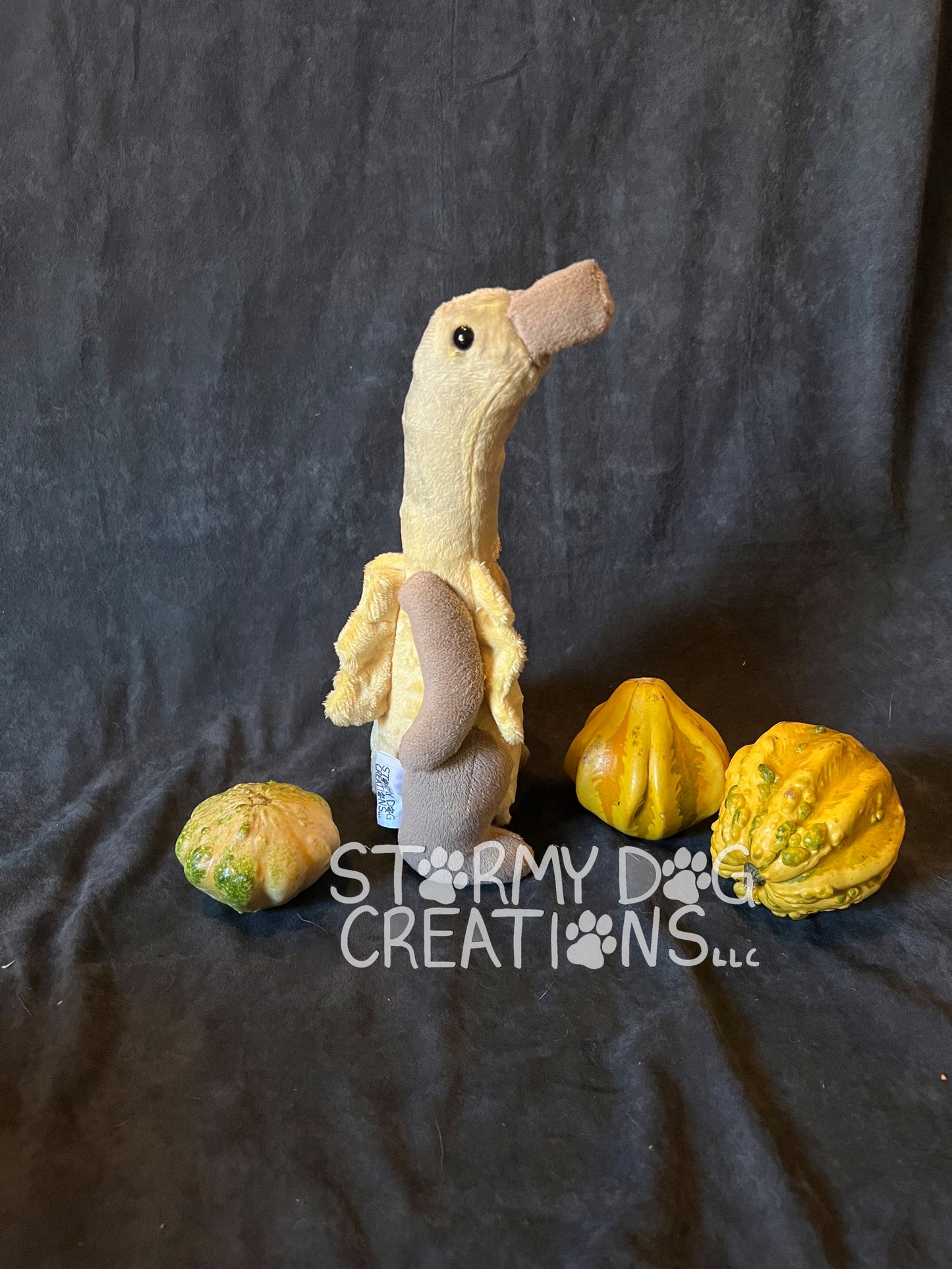 Tall Gourd Monster 13