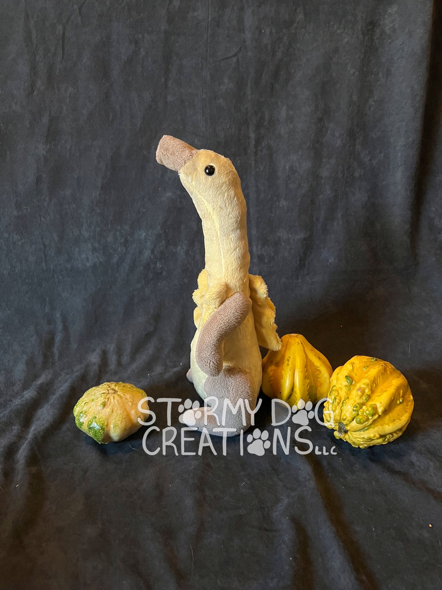 Tall Gourd Monster 13