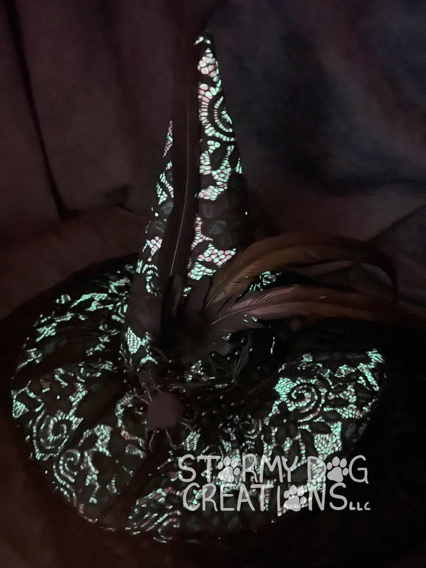 Black Spider Witch Hat with Veil