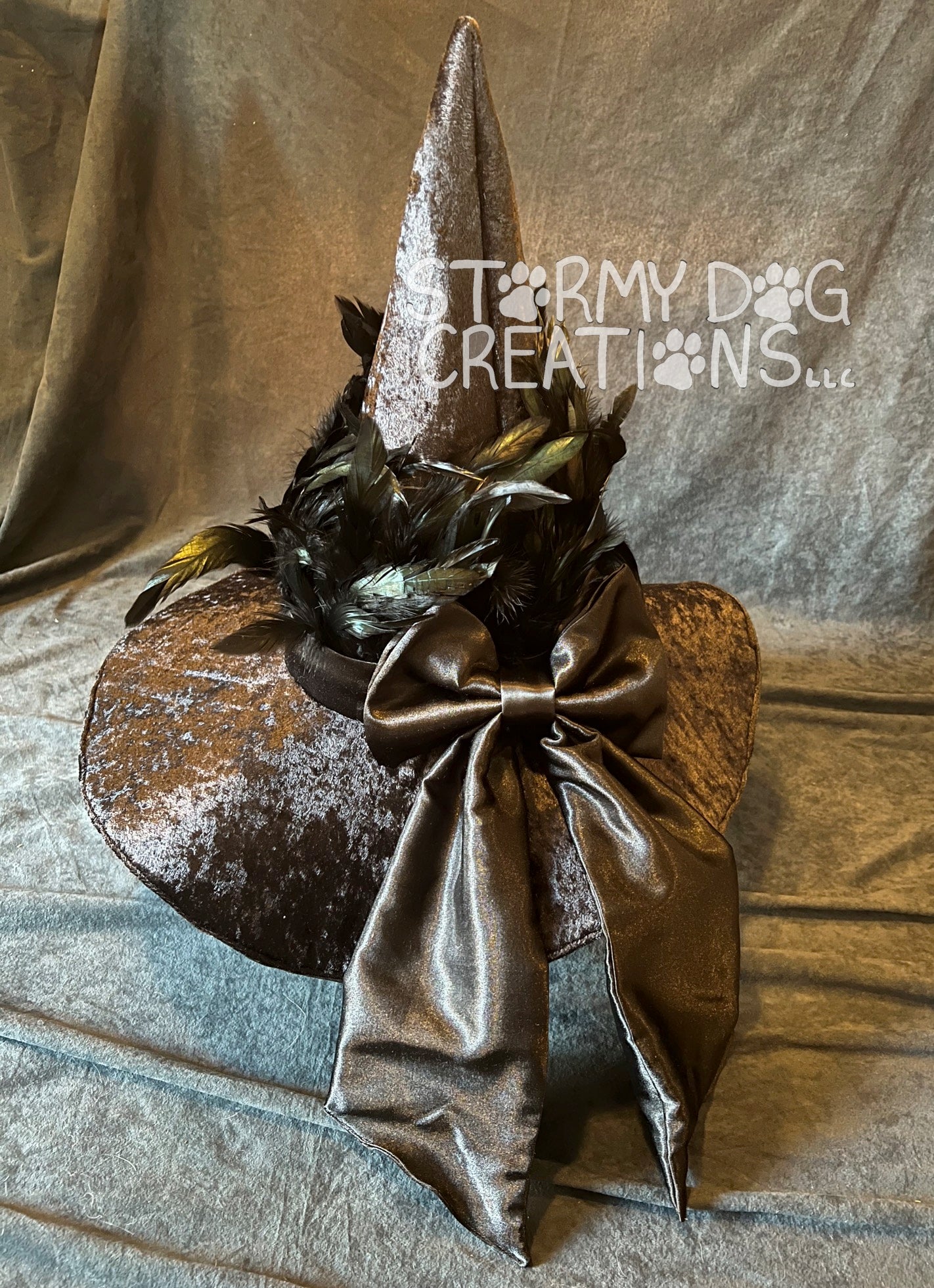 Black Bird Witch Hat